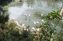 DSC 1862