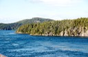 DSC_4501