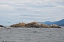 DSC_6672