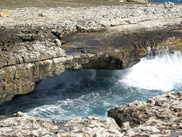 DSCN0089