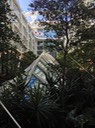 IMG 1839
