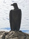 IMG_3887