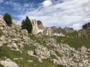 IMG_3890