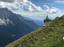 IMG_3904