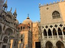 IMG_5517