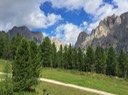 IMG_7387