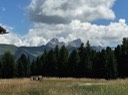 IMG_7419