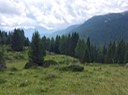 IMG_7437