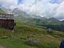 IMG_7439