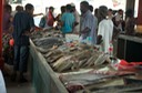 Seychelles - Mercato del pesce (3)