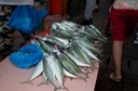 Seychelles - Mercato del pesce