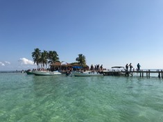 IMG 4455